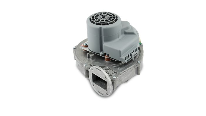 
            main 
            product 
            photo
        