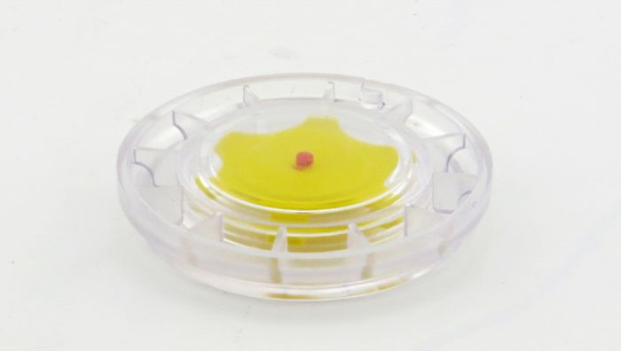 
            main 
            product 
            photo
        